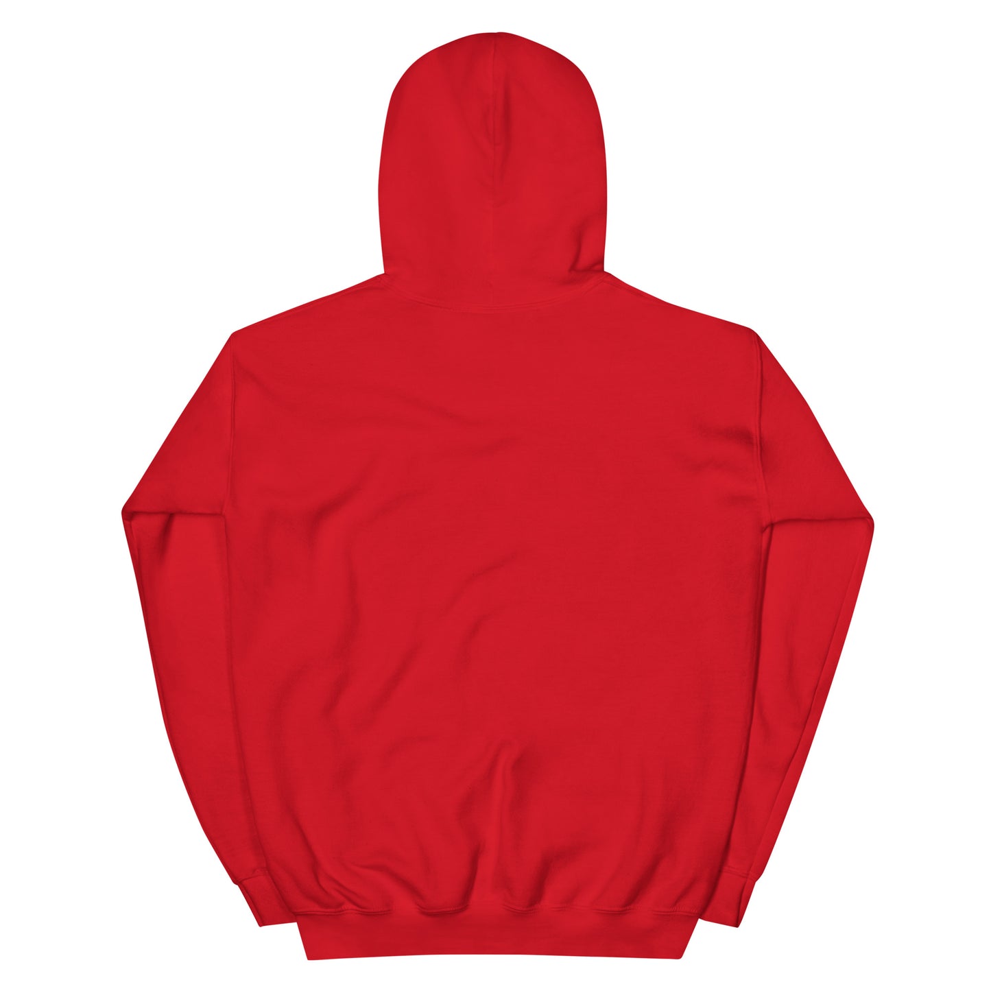 Jesus conspiracy theorist Hoodie.