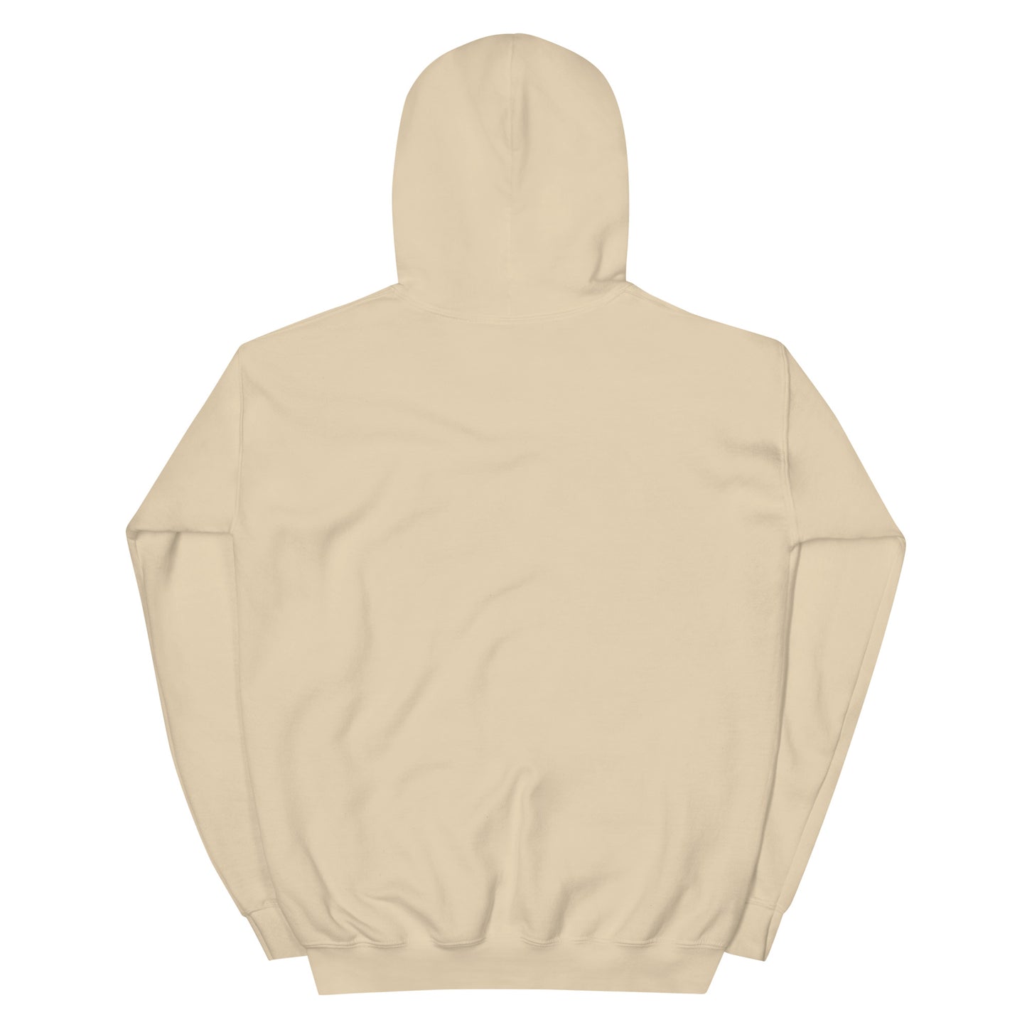 Jesus conspiracy theorist Hoodie.