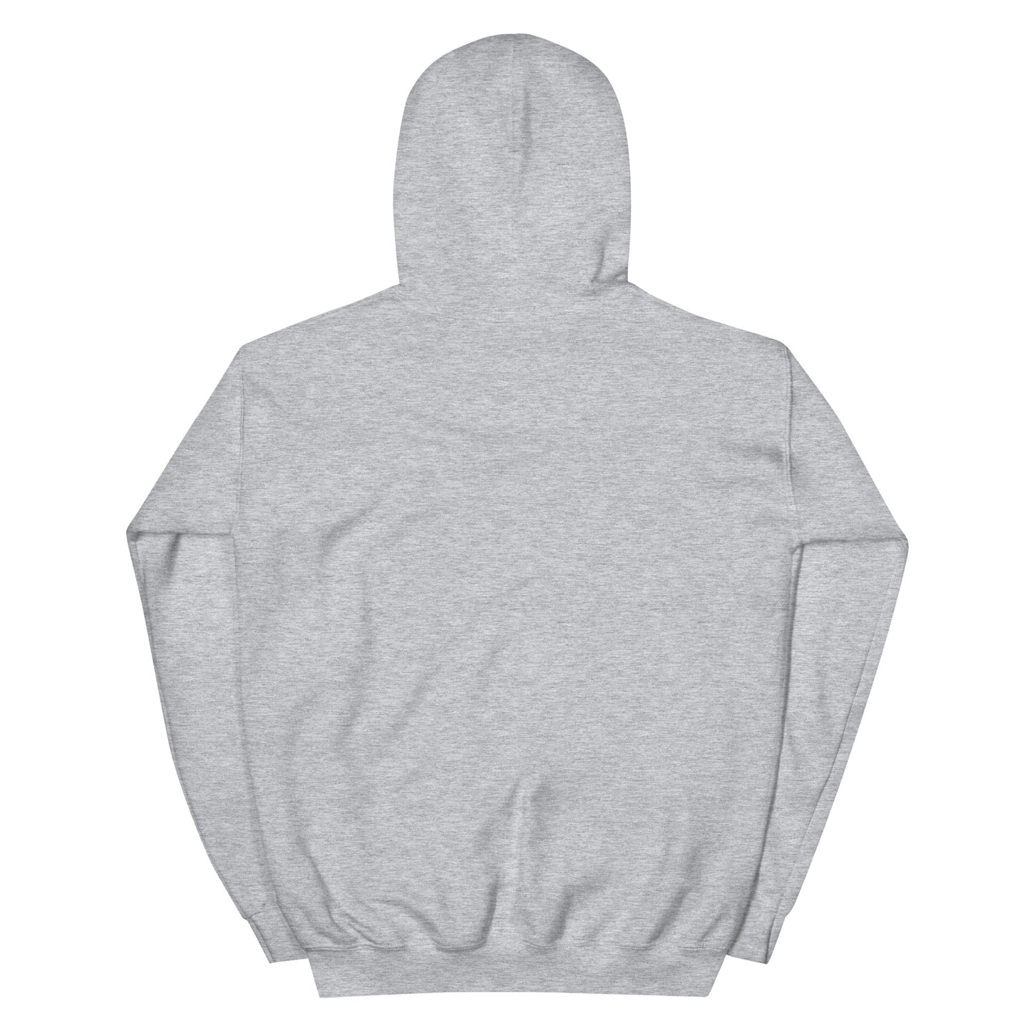 Jesus conspiracy theorist Hoodie.