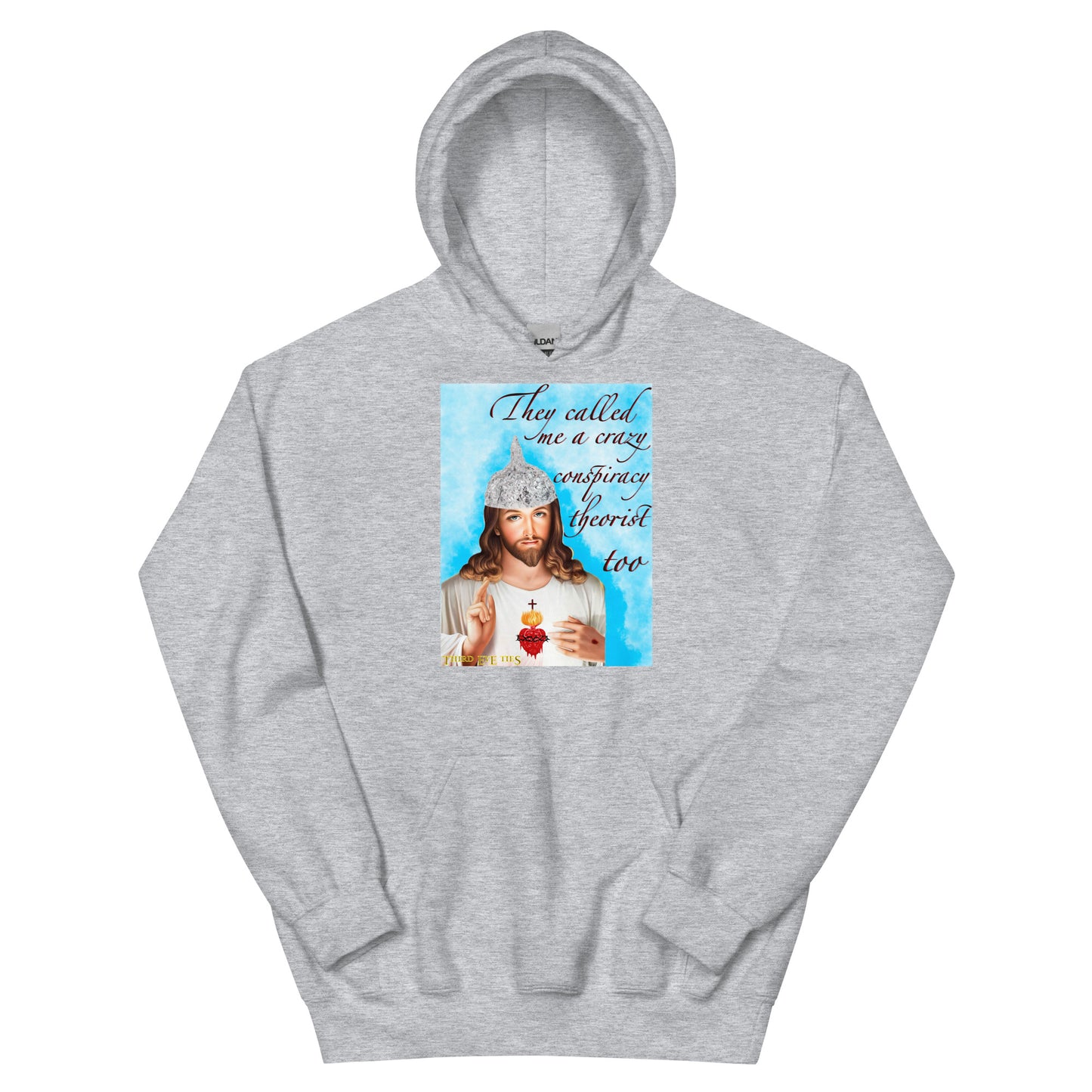 Jesus conspiracy theorist Hoodie.