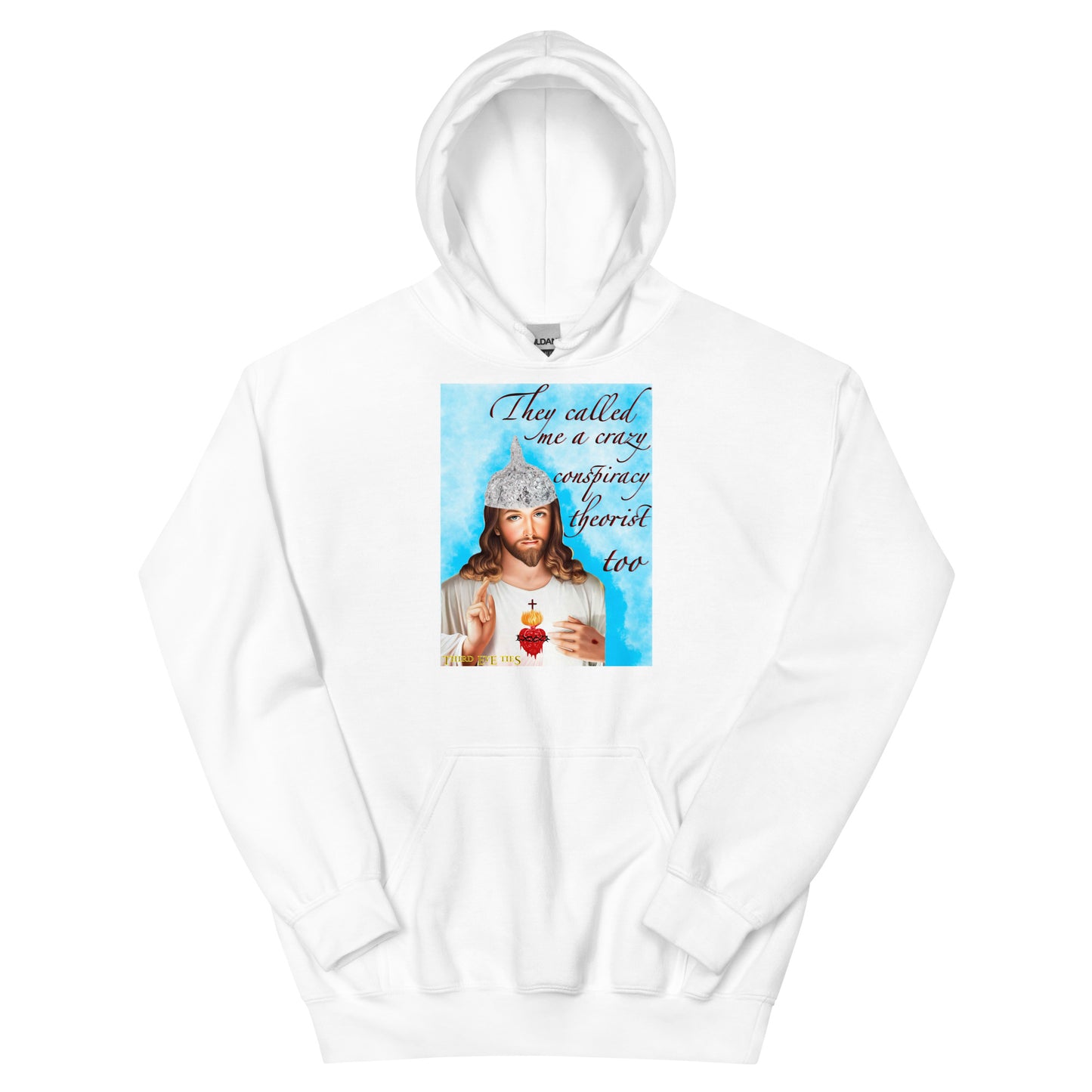 Jesus conspiracy theorist Hoodie.