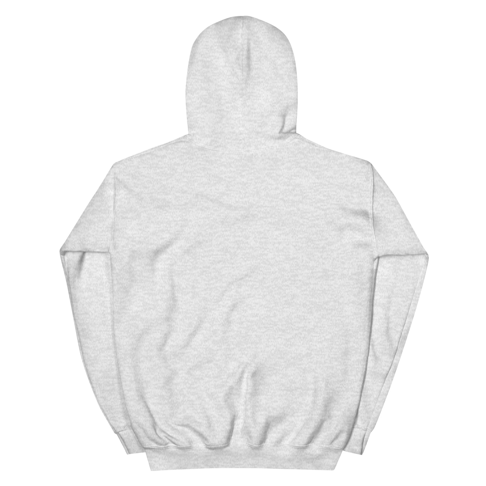 Jesus conspiracy theorist Hoodie.