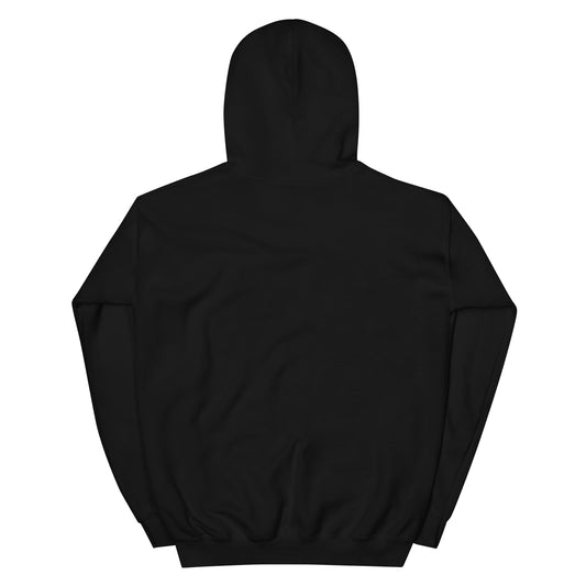 Jesus conspiracy theorist Hoodie.