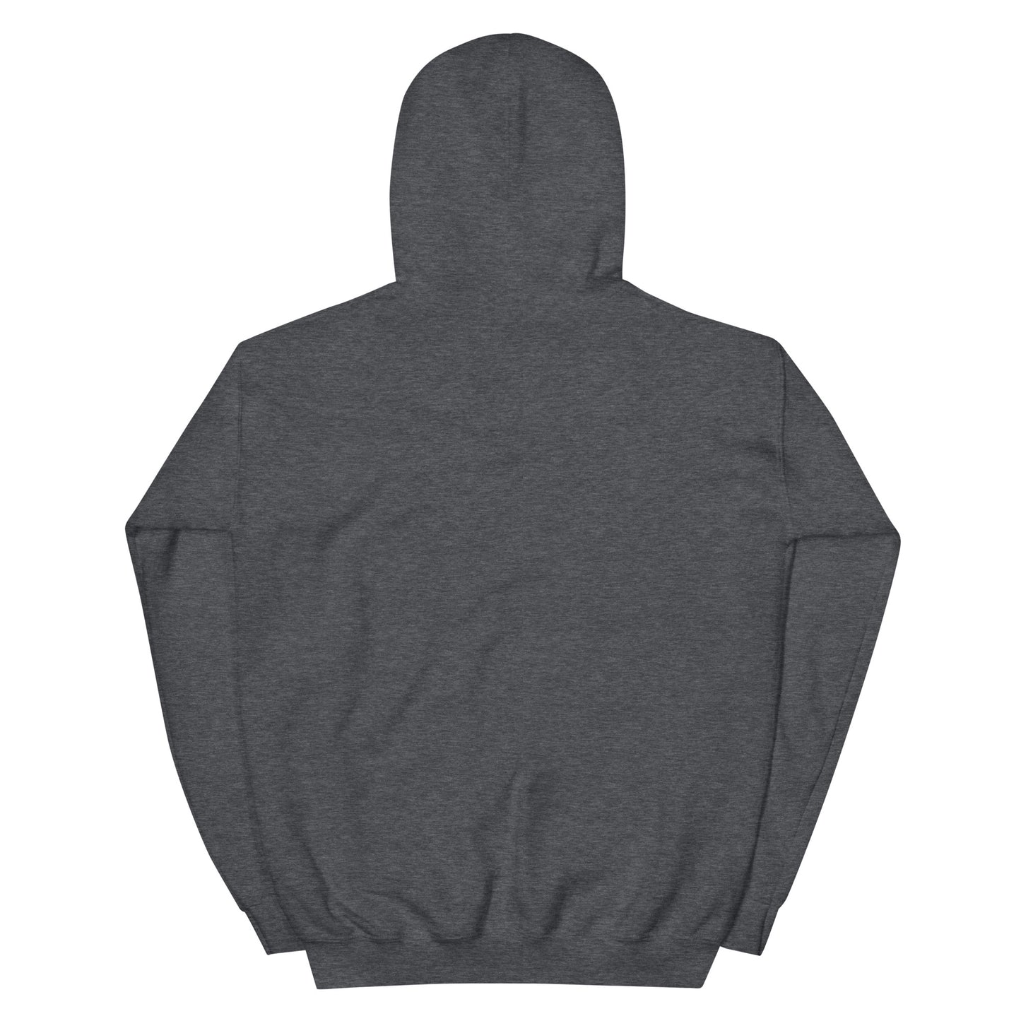 Jesus conspiracy theorist Hoodie.