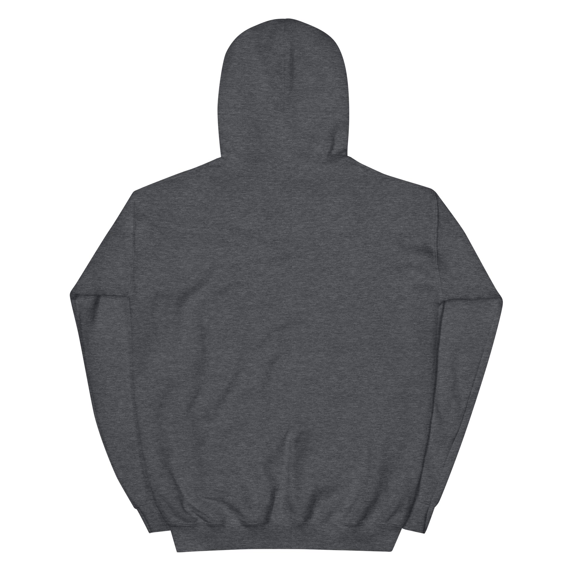Jesus conspiracy theorist Hoodie.