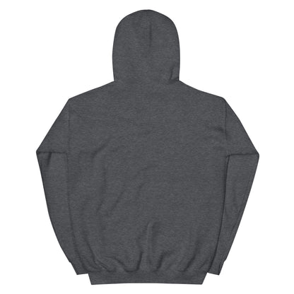 Jesus conspiracy theorist Hoodie.