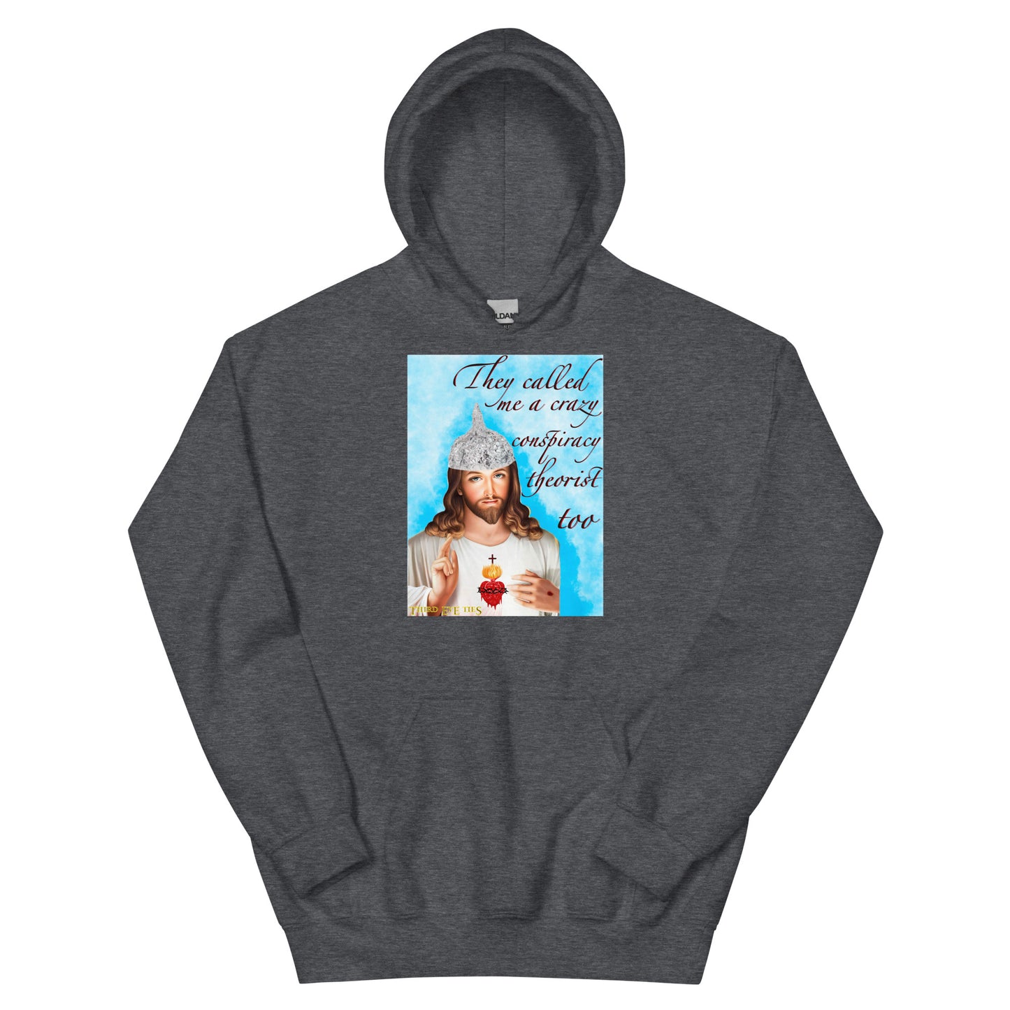 Jesus conspiracy theorist Hoodie.