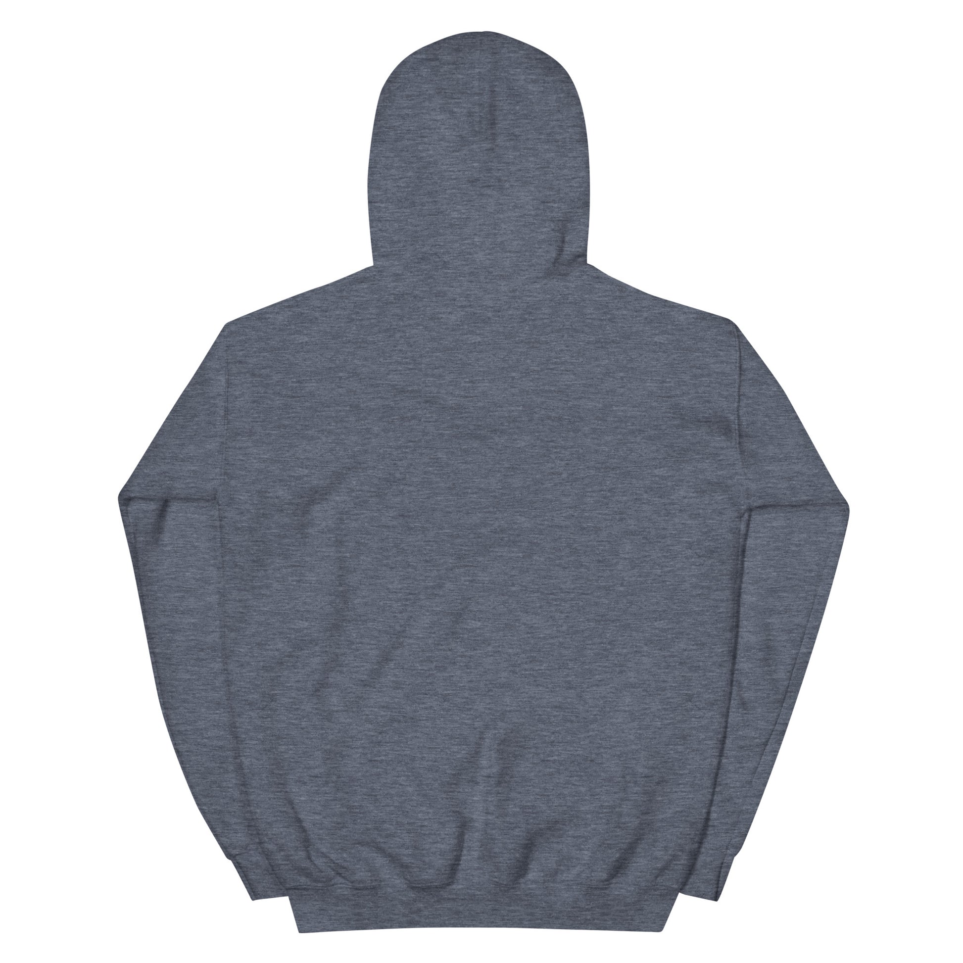 Jesus conspiracy theorist Hoodie.