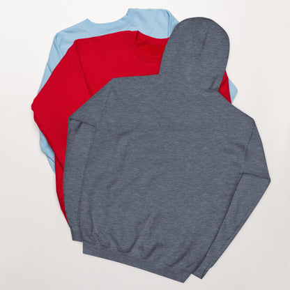 SYBAU Hoodie.