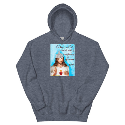 Jesus conspiracy theorist Hoodie.
