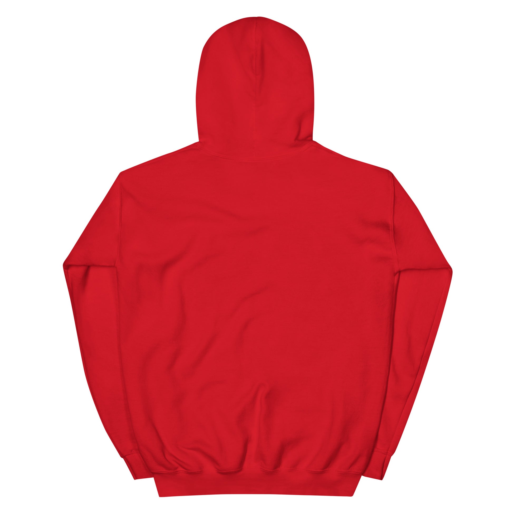 Jesus conspiracy theorist Hoodie.