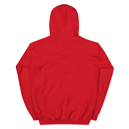 Jesus conspiracy theorist Hoodie.