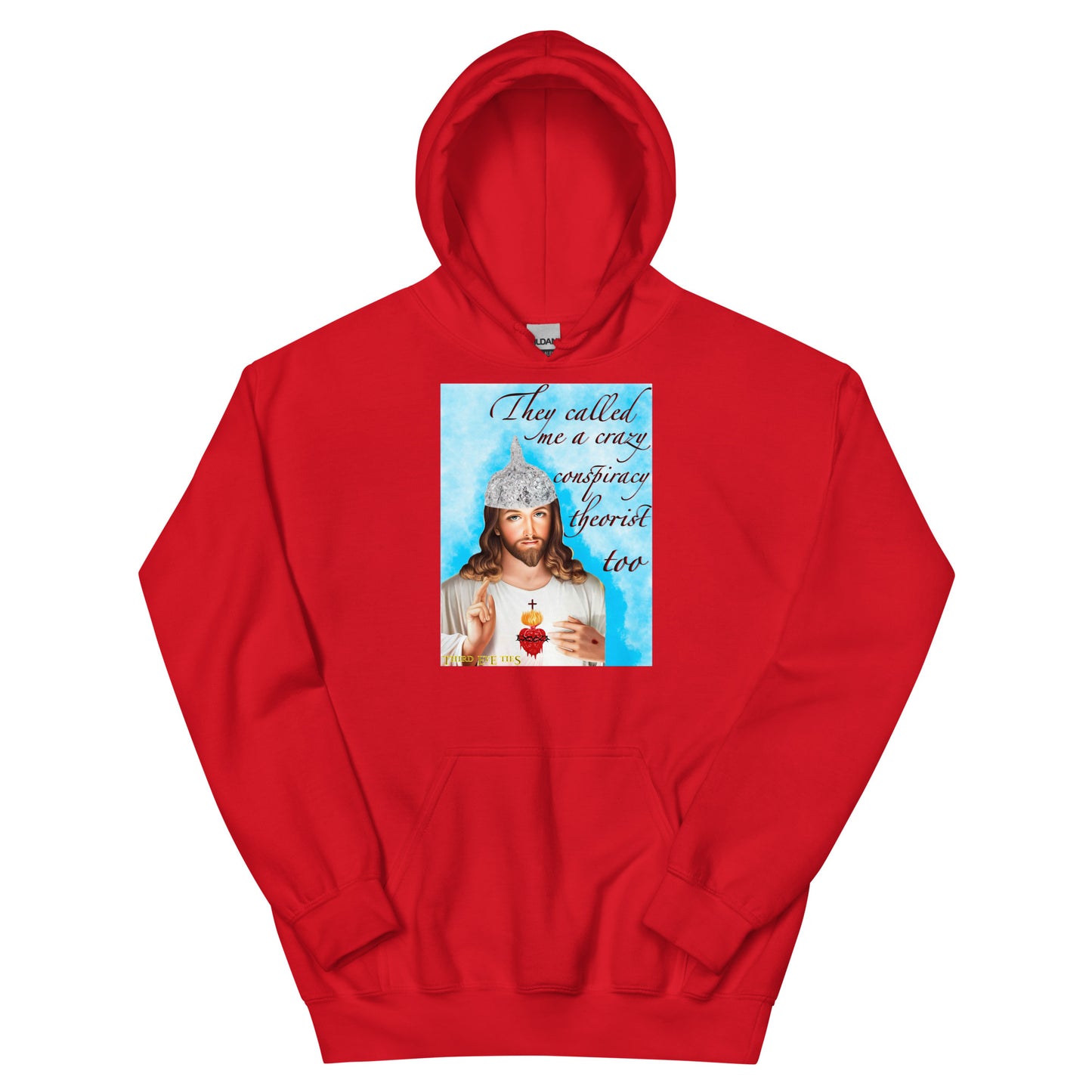 Jesus conspiracy theorist Hoodie.