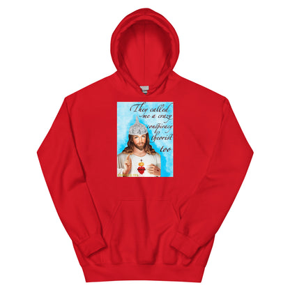 Jesus conspiracy theorist Hoodie.