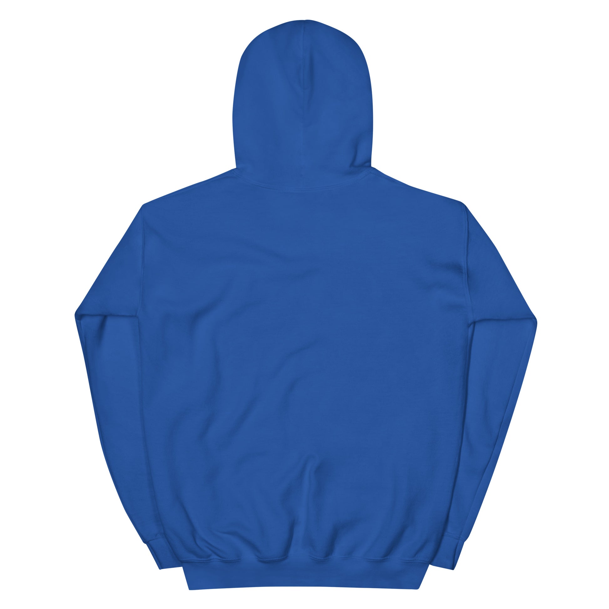 Jesus conspiracy theorist Hoodie.