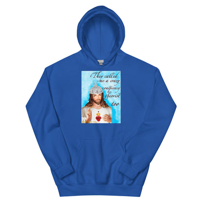 Jesus conspiracy theorist Hoodie.