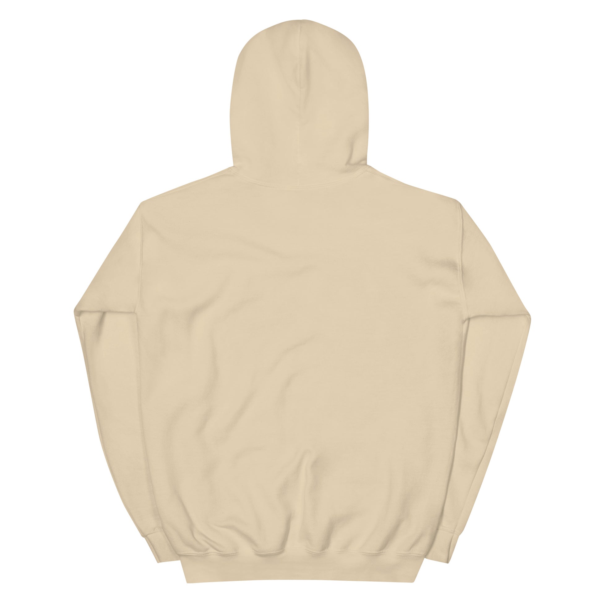 Jesus conspiracy theorist Hoodie.