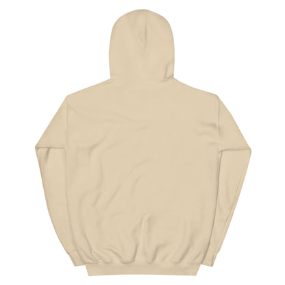 Jesus conspiracy theorist Hoodie.