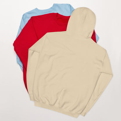 SYBAU Hoodie.