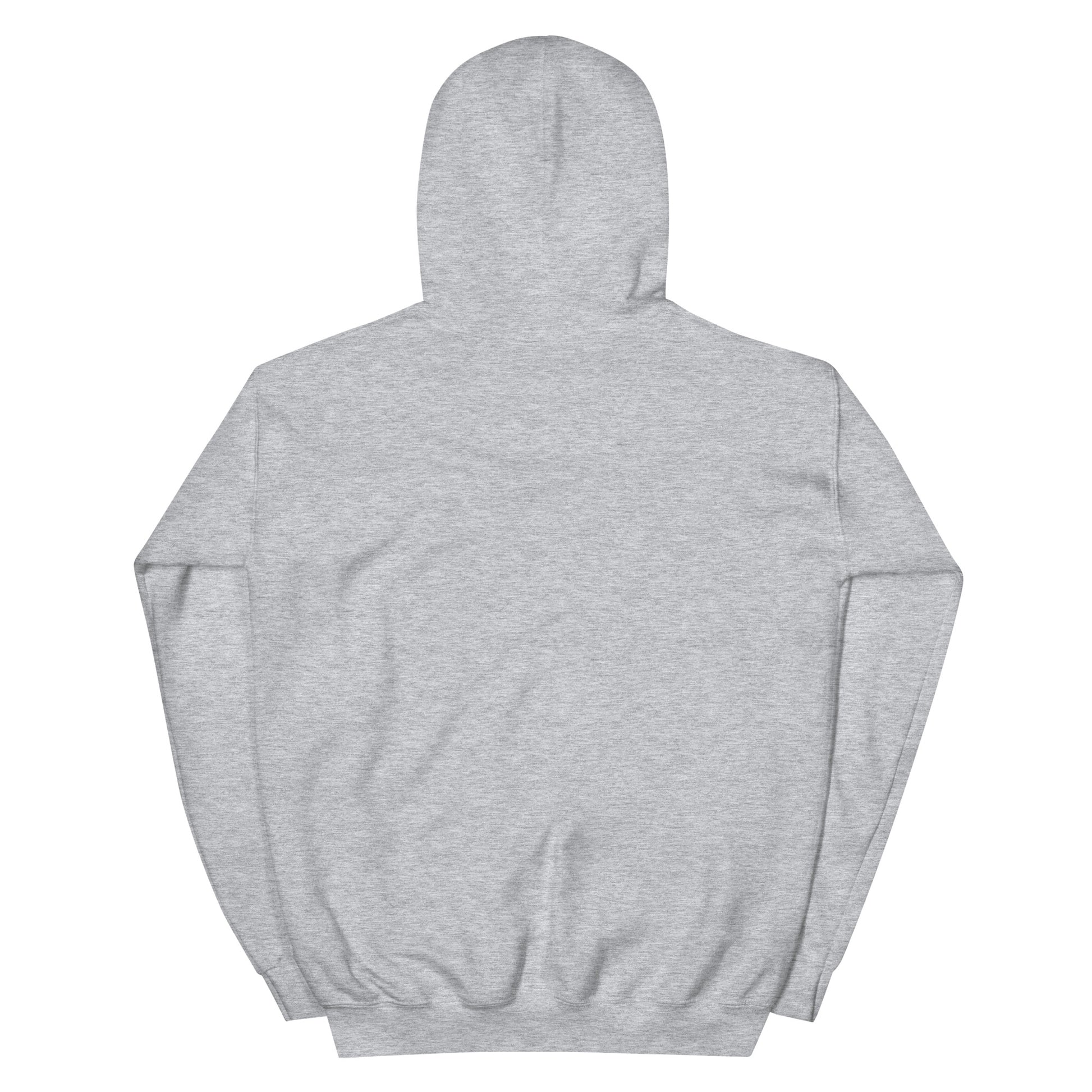 Jesus conspiracy theorist Hoodie.