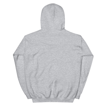 Jesus conspiracy theorist Hoodie.