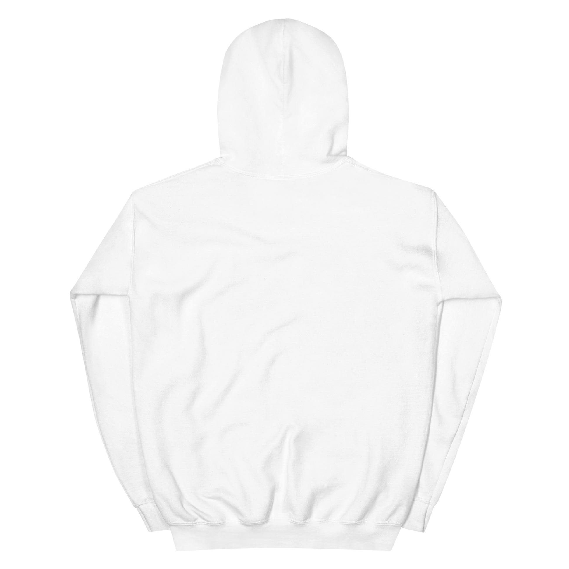 Jesus conspiracy theorist Hoodie.