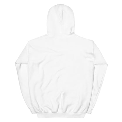 Jesus conspiracy theorist Hoodie.