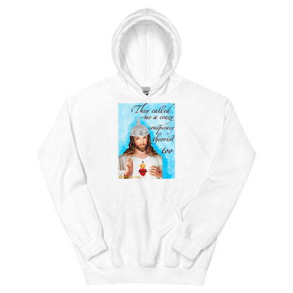 Jesus conspiracy theorist Hoodie.